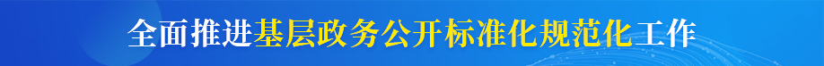 全面推进基层政务公开标准化规范化必发365手机版下载_365bet注册开户_线上365bet正网
